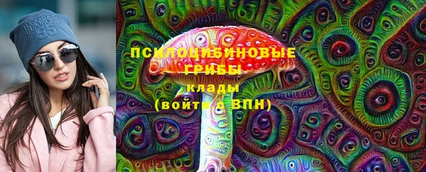 дмт Костерёво