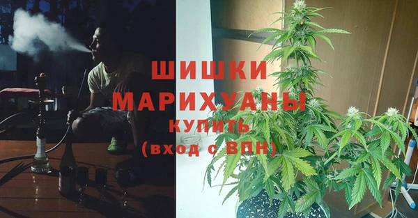 дмт Костерёво