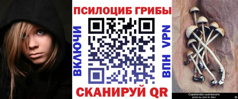 Псилоцибиновые грибы мухоморы Черноголовка