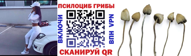 Галлюциногенные грибы ЛСД  Черноголовка 